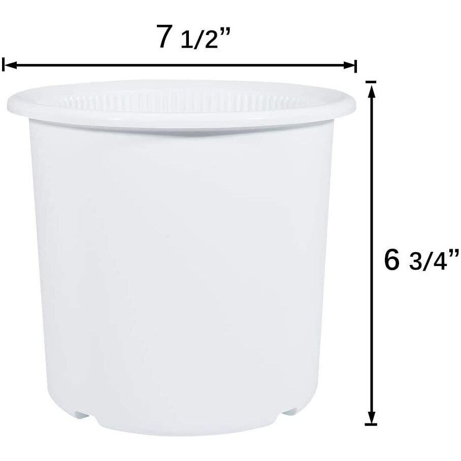 2pack Orchid Pot with Holes Clear Plastic Breathable Slotted Planters Pots 6.3" - Opticdeals