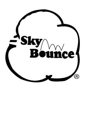 Sky Bounce Color Rubber Handballs for Recreational Handball, Stickball, - Opticdeals