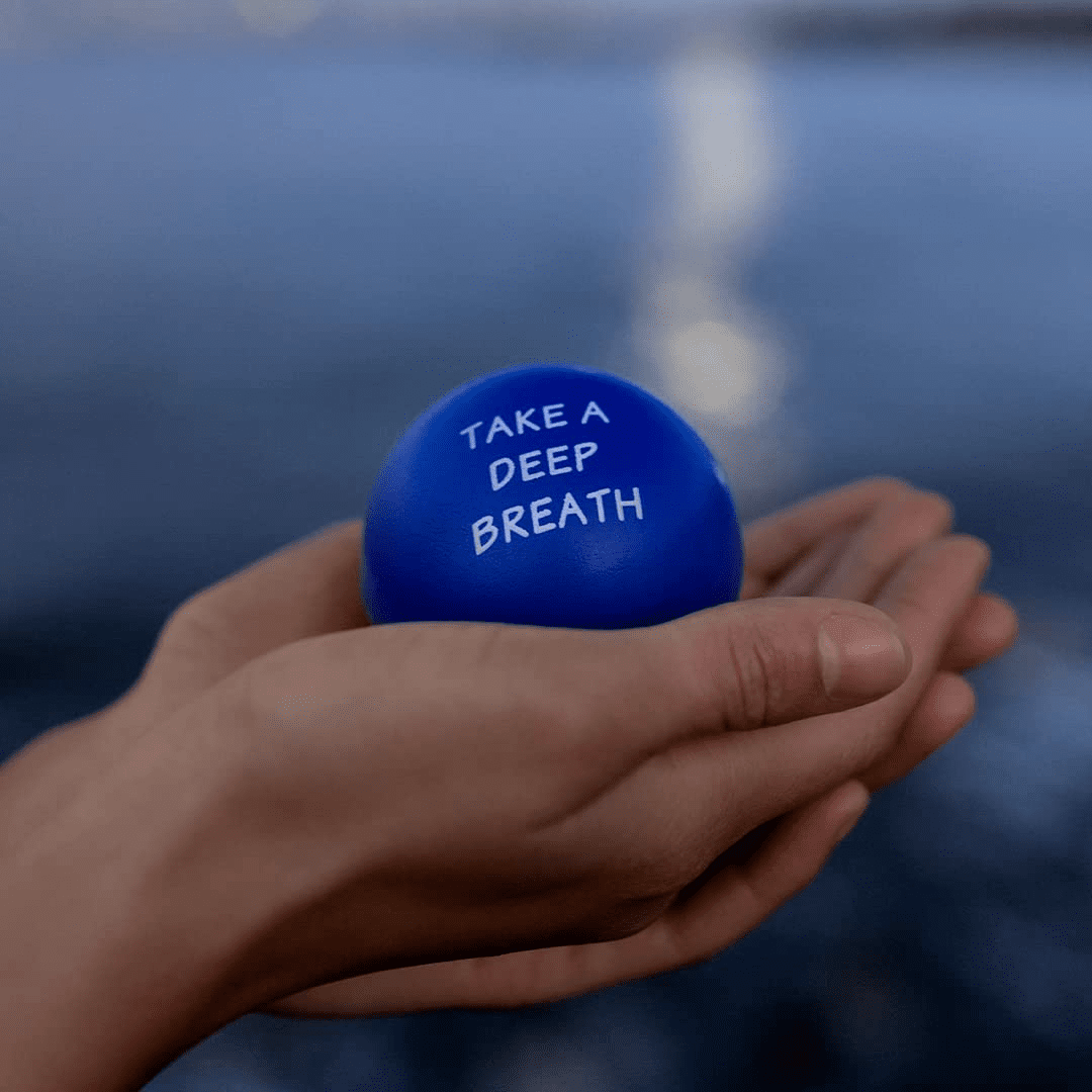 Elibia Set of 3 Motivational Stress Balls for Adults and Kids - Hand Exercise Ba - Opticdeals