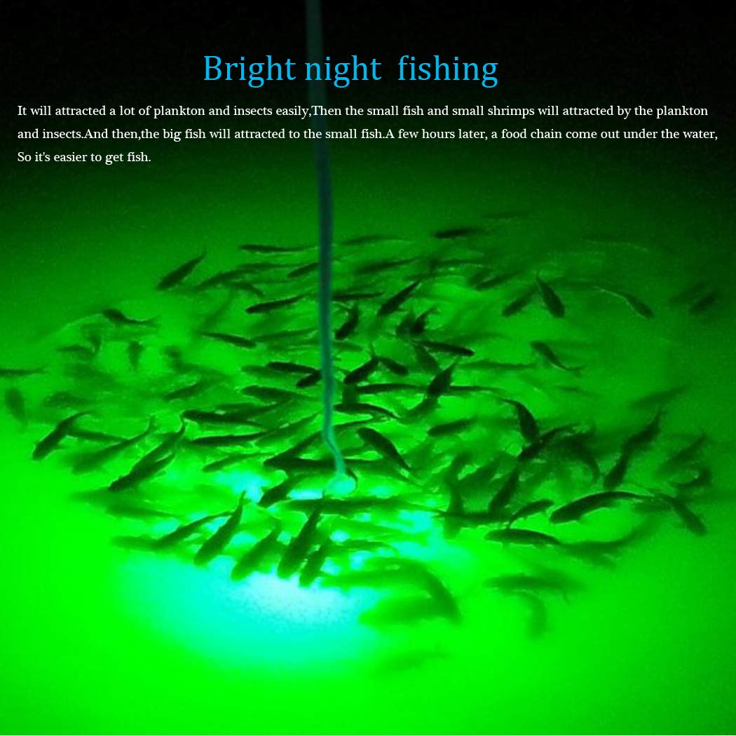 Night Fishing  Lure Bait Finder Light Super Bright 12V 20W 2000 Lumens - Opticdeals