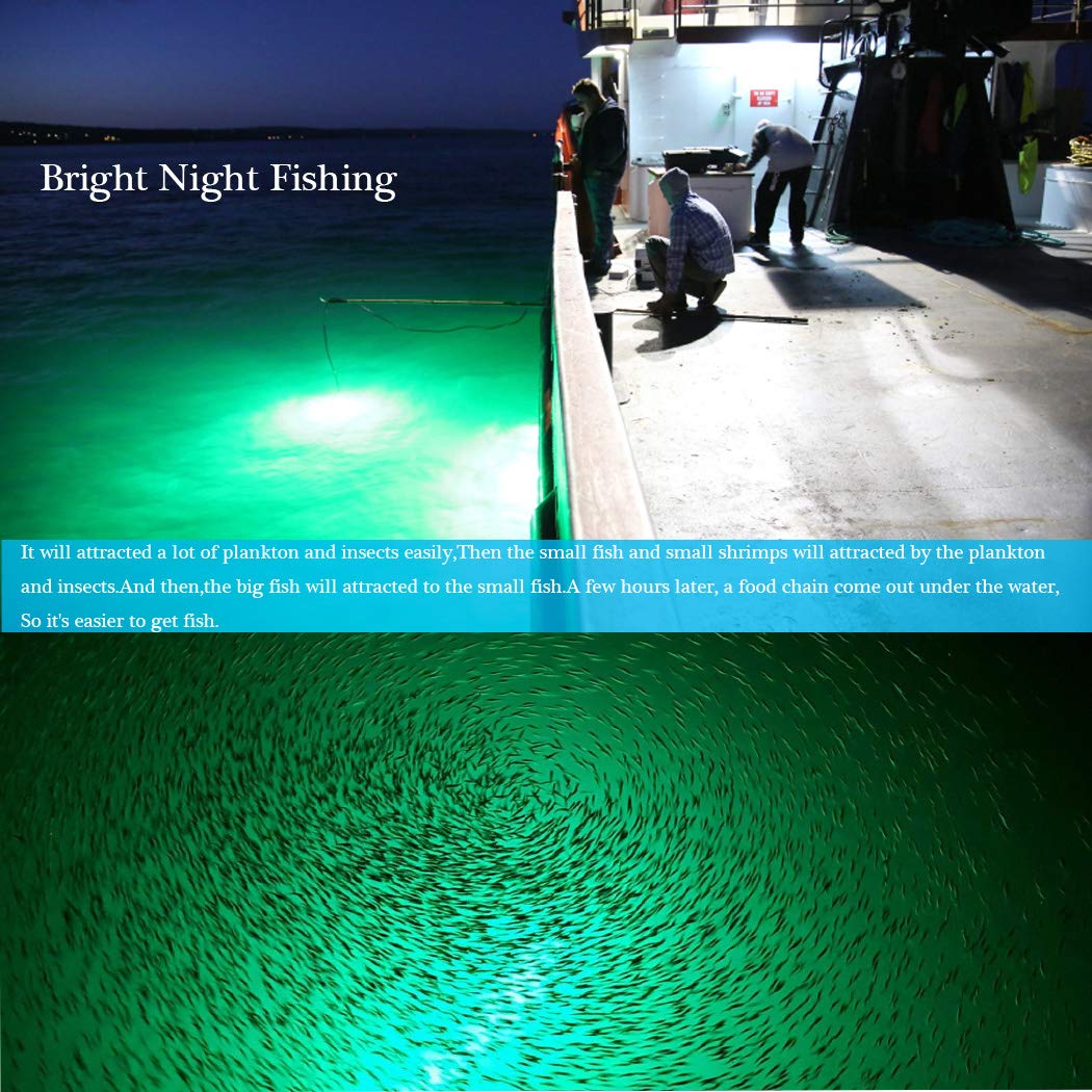 Night Fishing  Lure Bait Finder Light Super Bright 12V 20W 2000 Lumens - Opticdeals