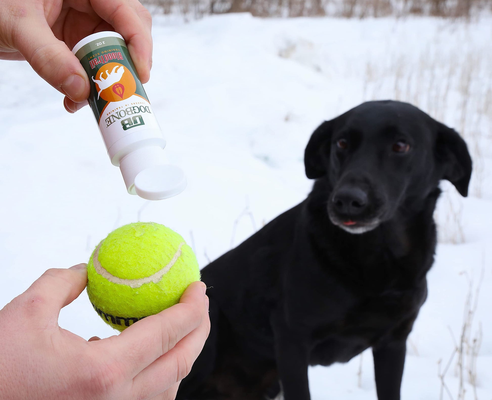 DogBone BloodTrail Scent for Tracking Dog Training - Opticdeals