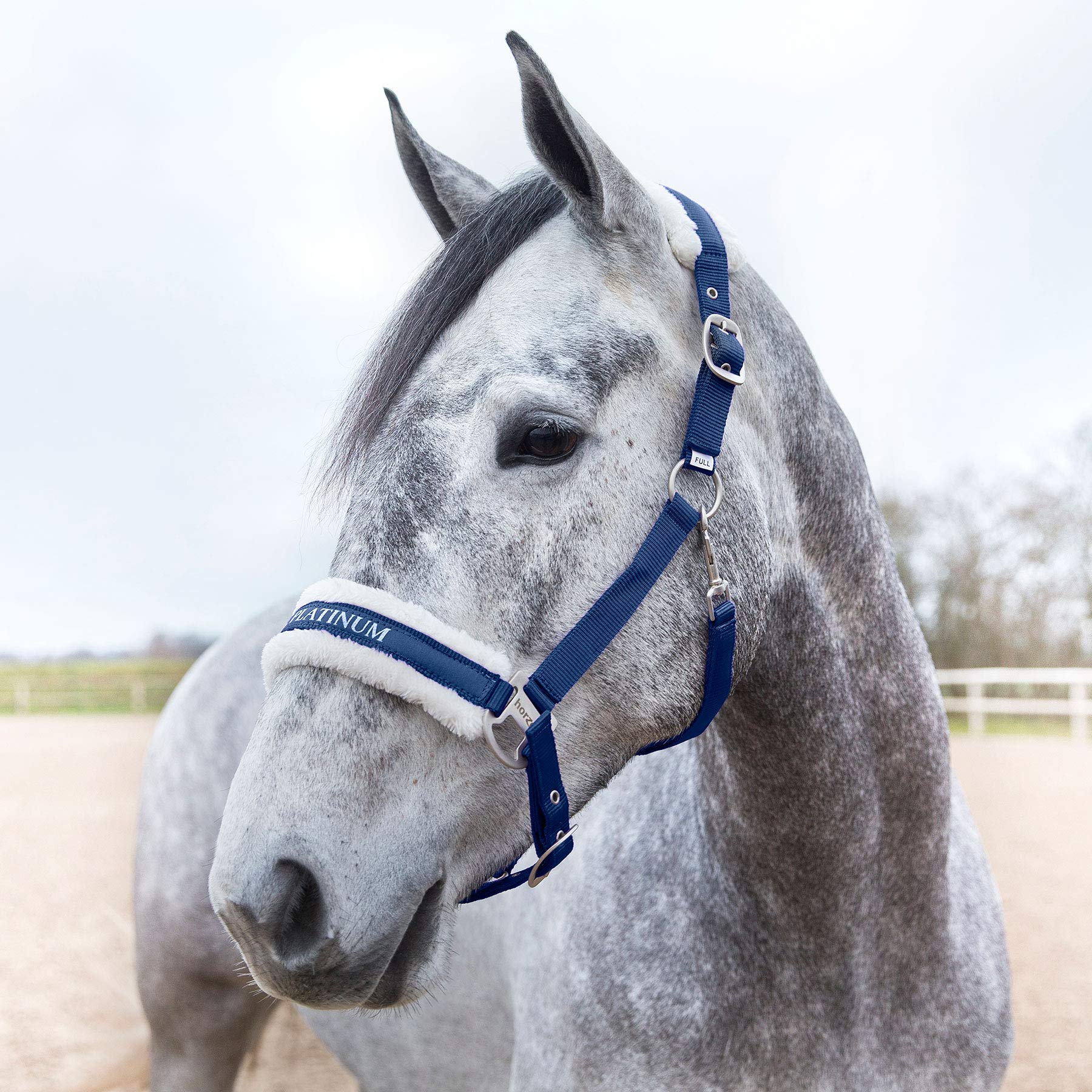 HORZE Howard  Horse Halter Soft Fleece Padded Adjustable Dark Blue - Opticdeals